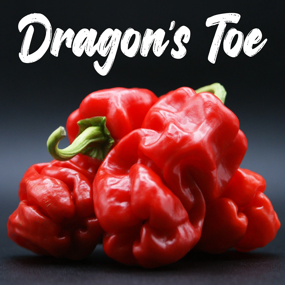 Dragon’s Toe