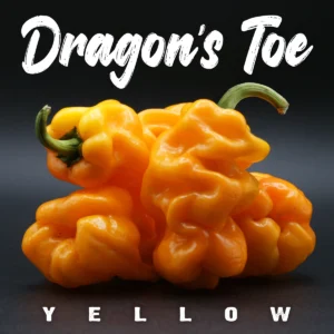 Dragon’s Toe Yellow