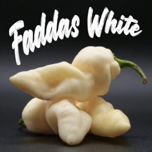 Faddas White