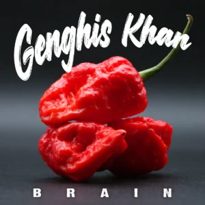 Genghis Khan Brain