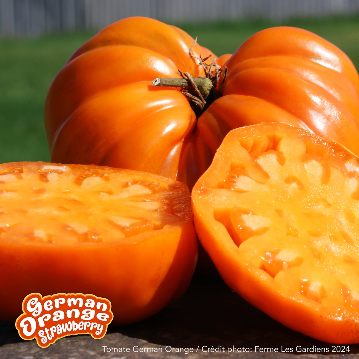 German Orange Strawberry