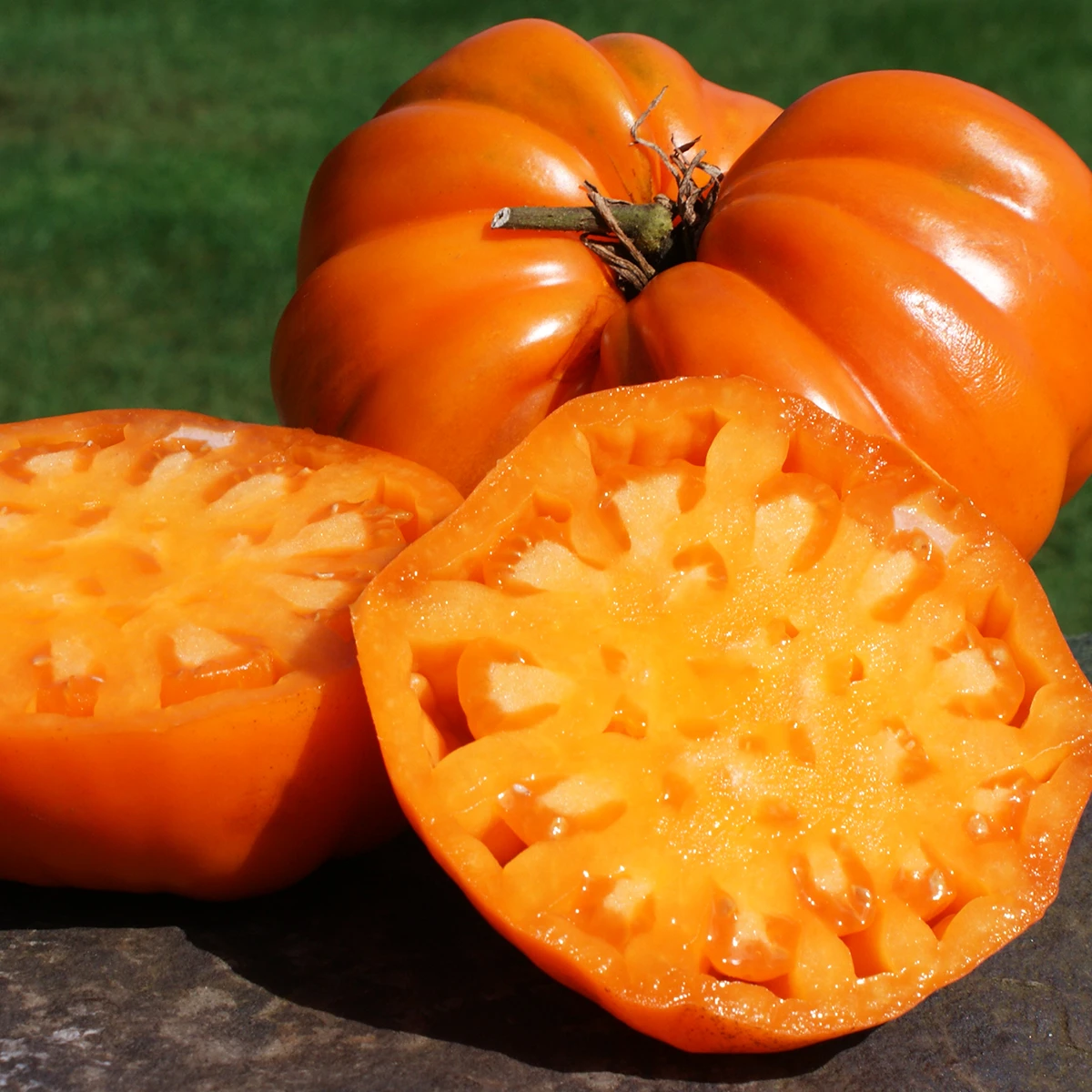 German Orange Strawberry – Image 3