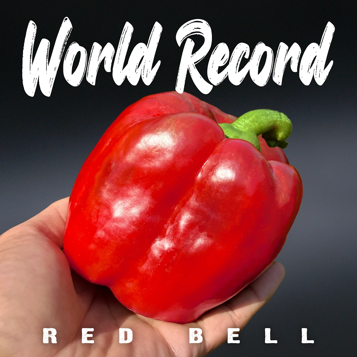 Giant Red Bell