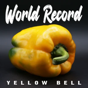 Giant Yellow Bell