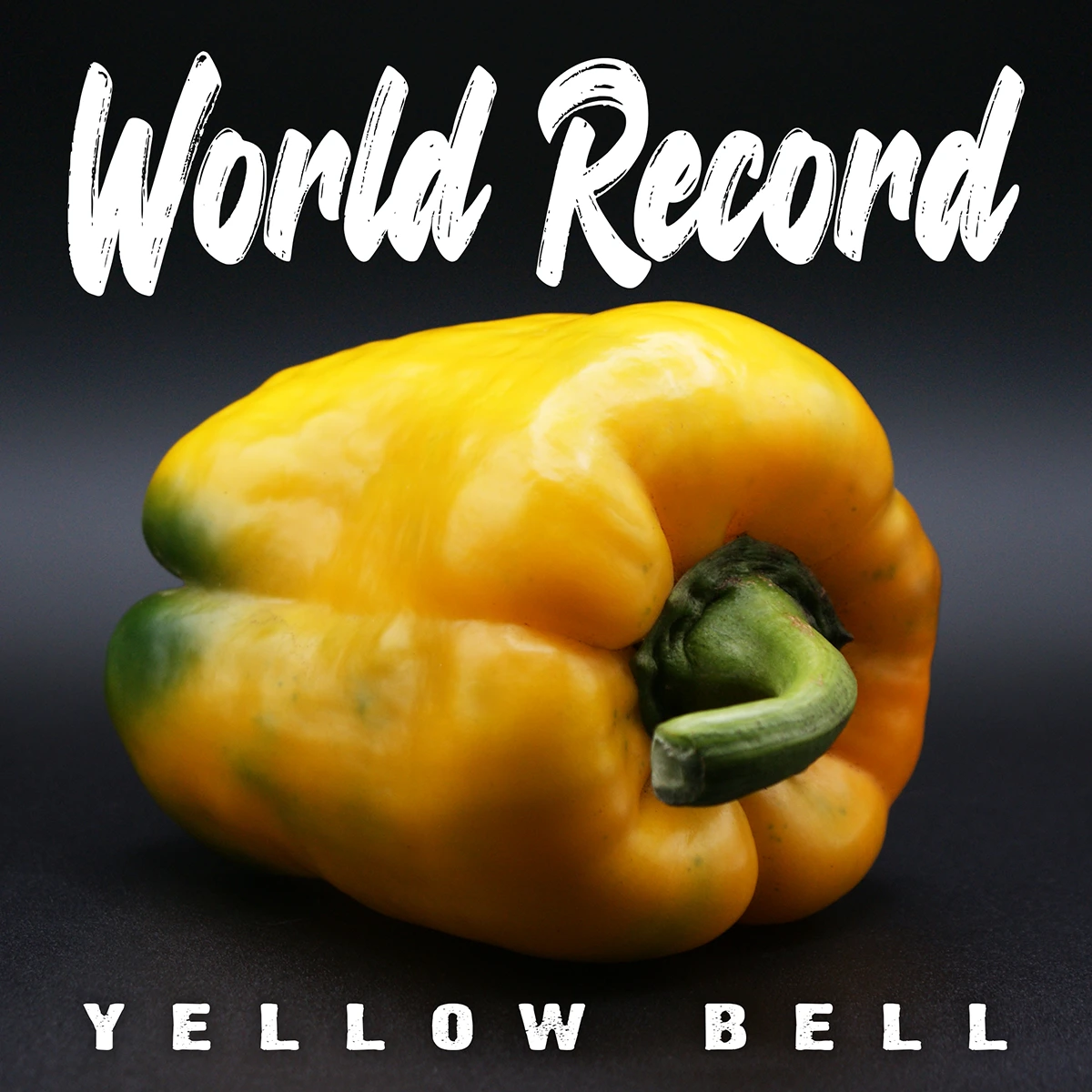 Giant Yellow Bell