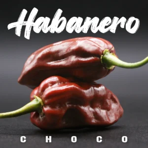 Habanero Choco