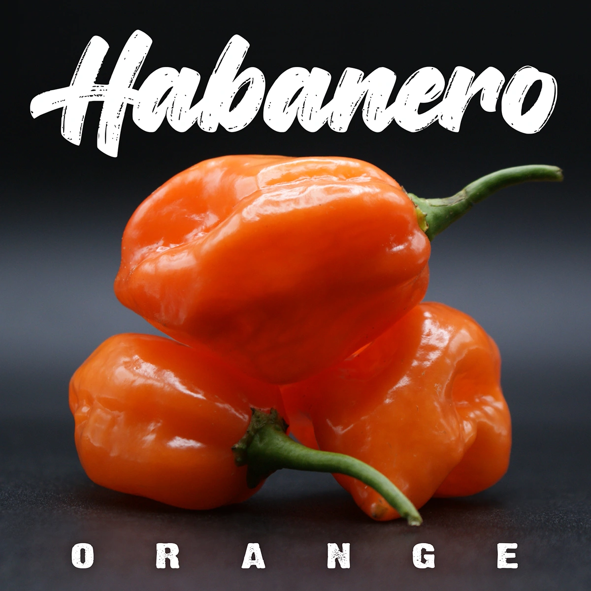 Habanero Orange