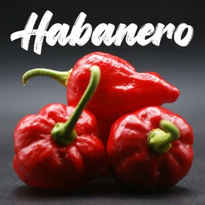 Habanero