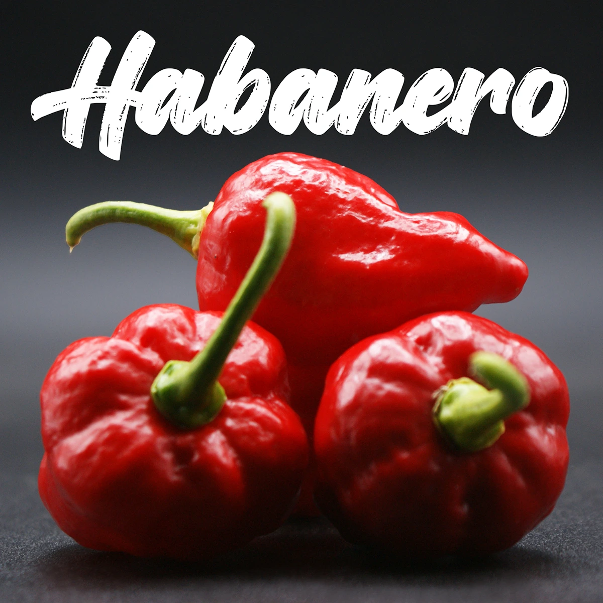 Habanero
