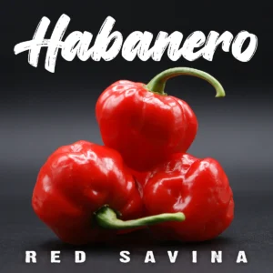 Habanero Red Savina