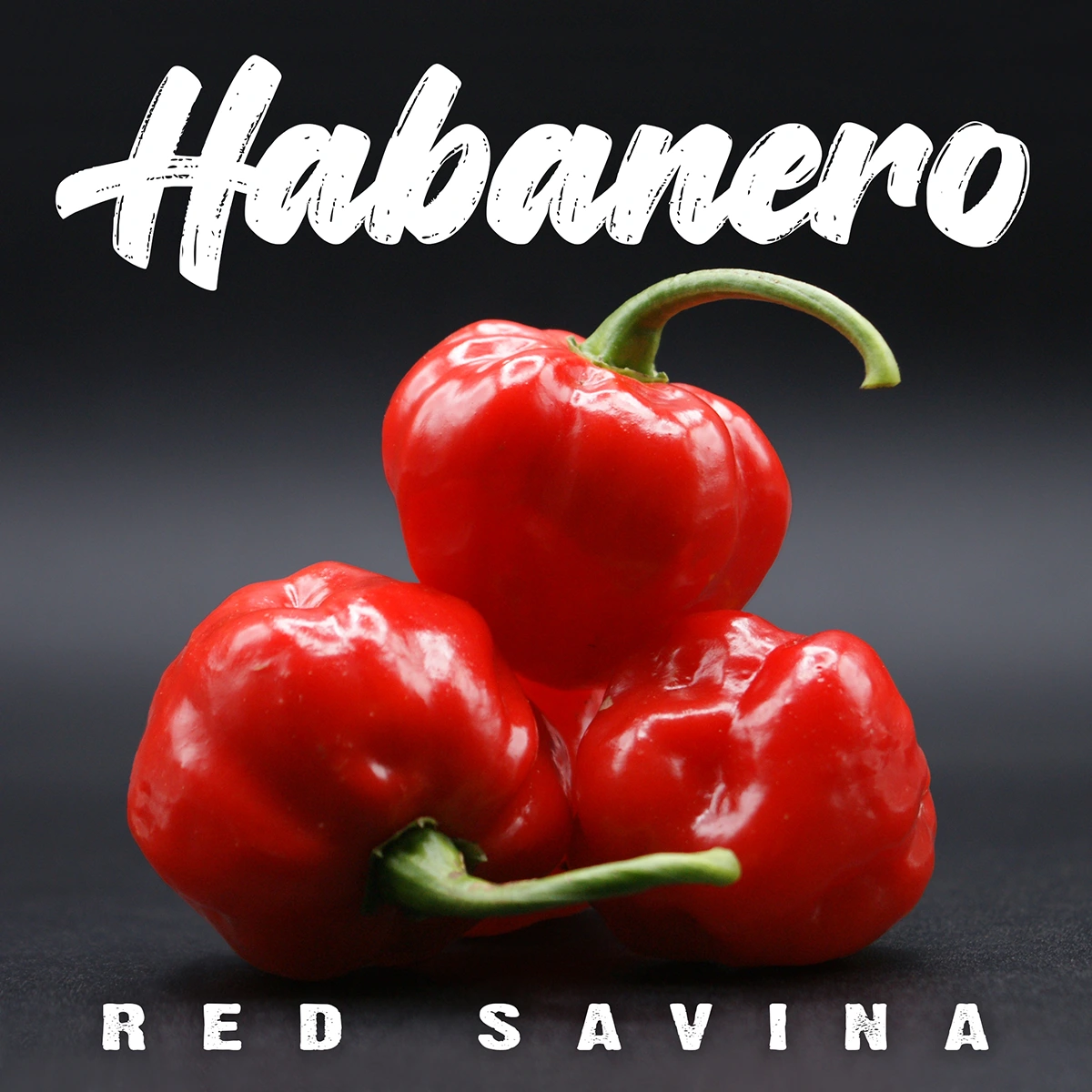 Habanero Red Savina