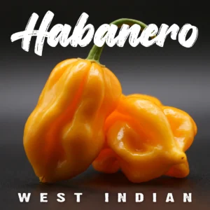 Habanero West Indian