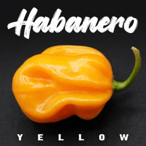 Habanero Yellow