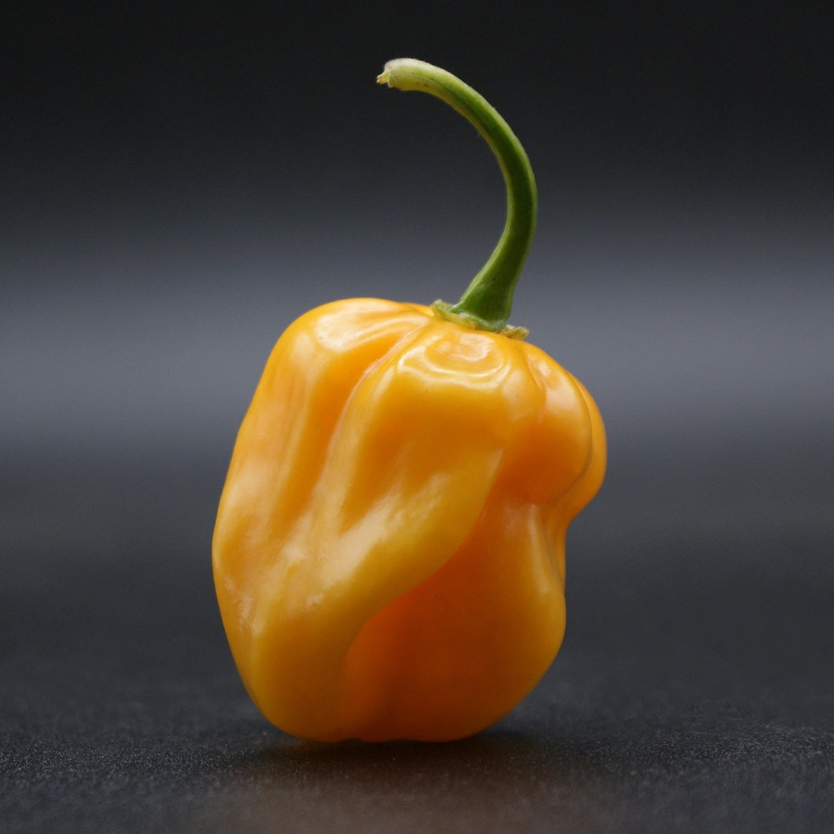 Habanero Yellow – Image 2