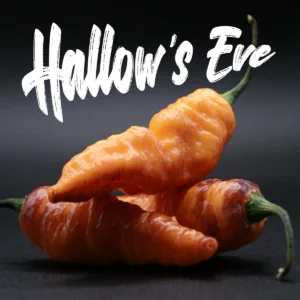Hallow’s Eve