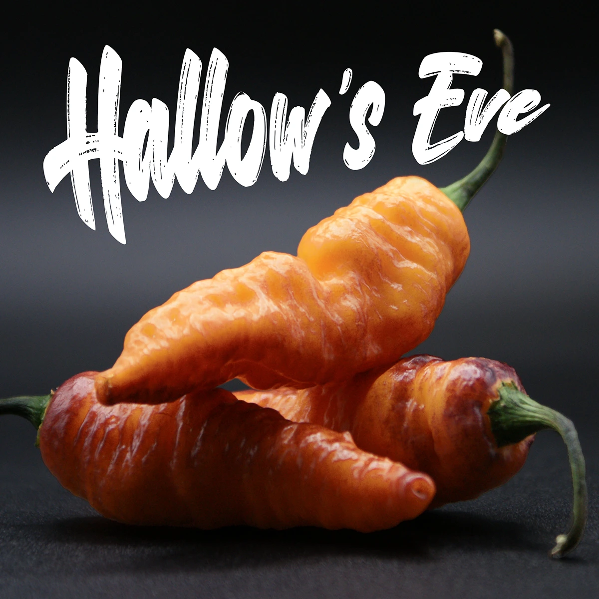 Hallow’s Eve