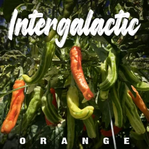 Intergalactic
