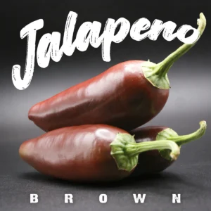 Jalapeno Brown