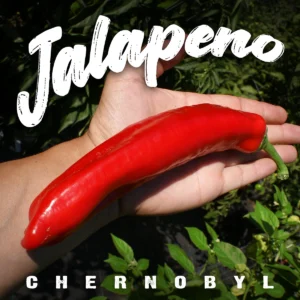 Jalapeno Chernobyl