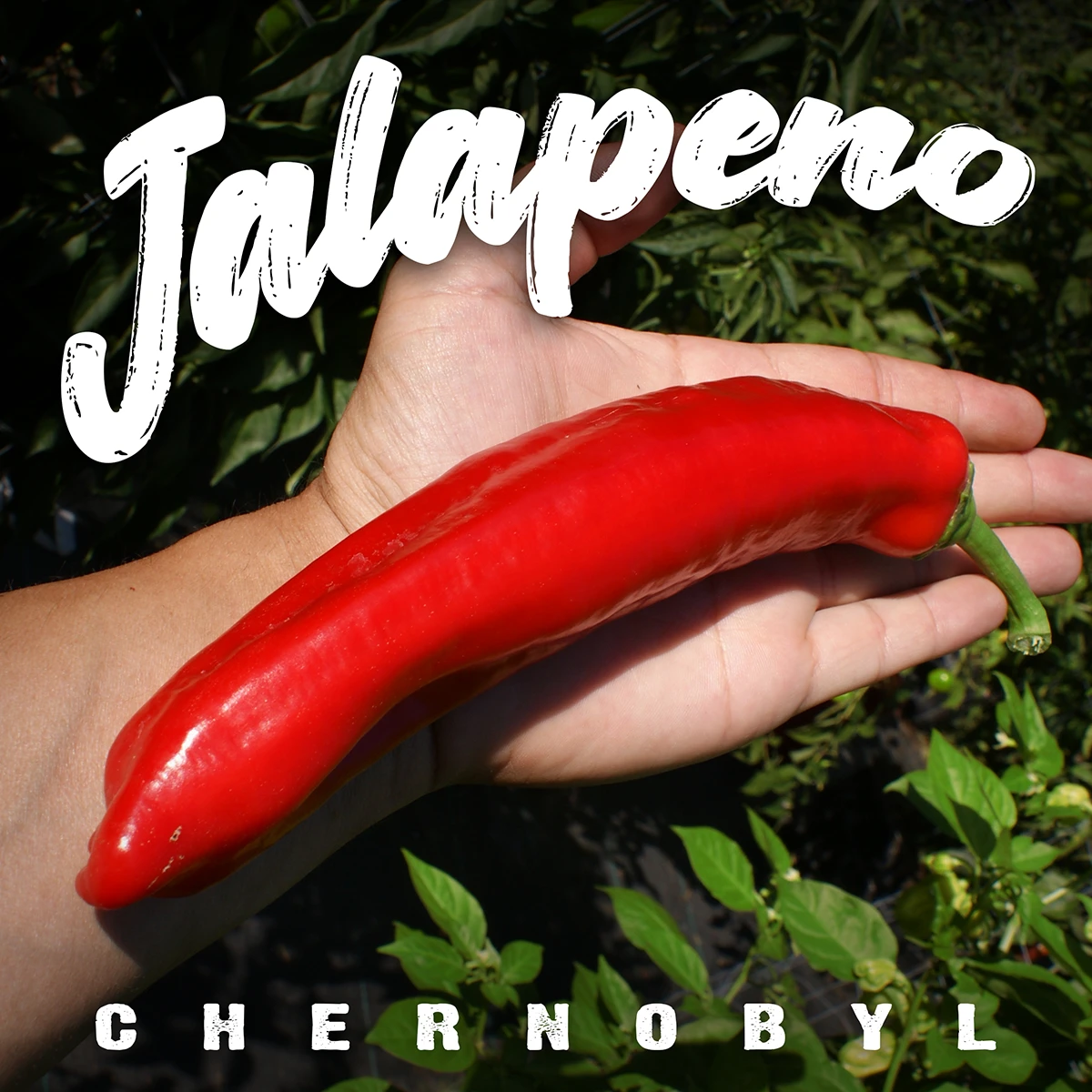 Jalapeno Chernobyl