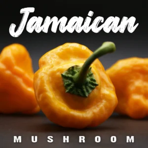 Jamaican Yellow Mushroom