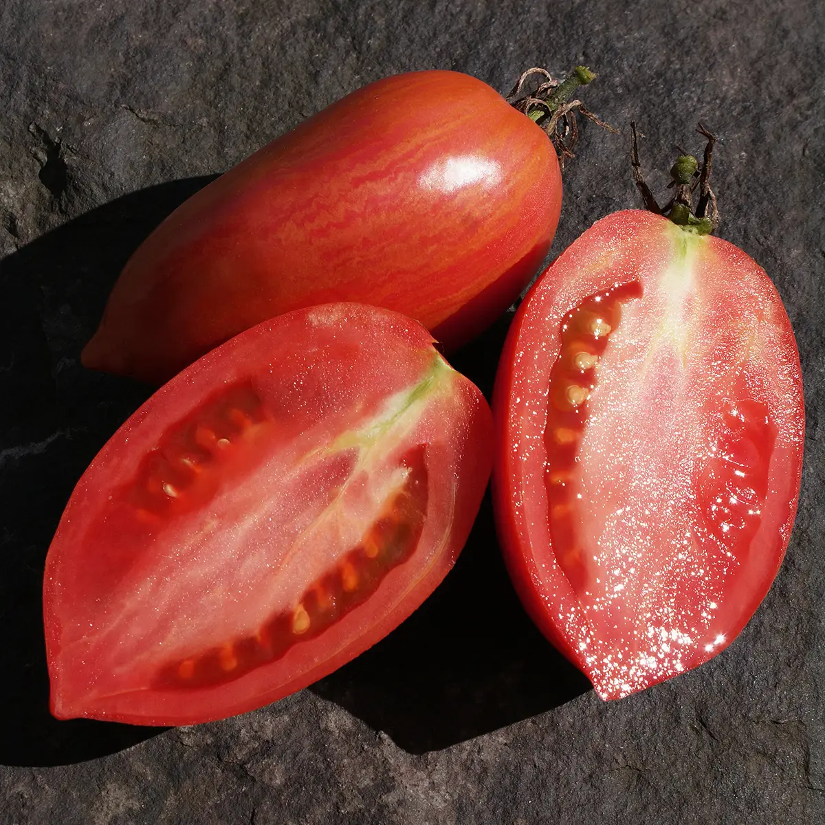 Jarson 21 – Image 3