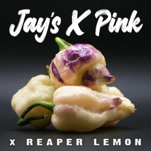 Jay’s × Pink × Reaper Lemon