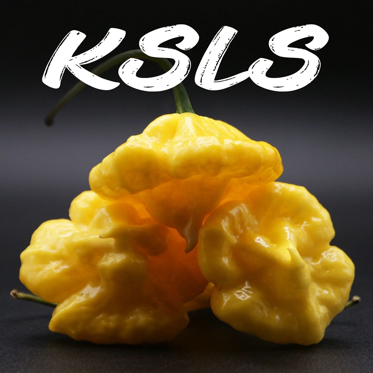 Khang Starr Lemon Starrburst