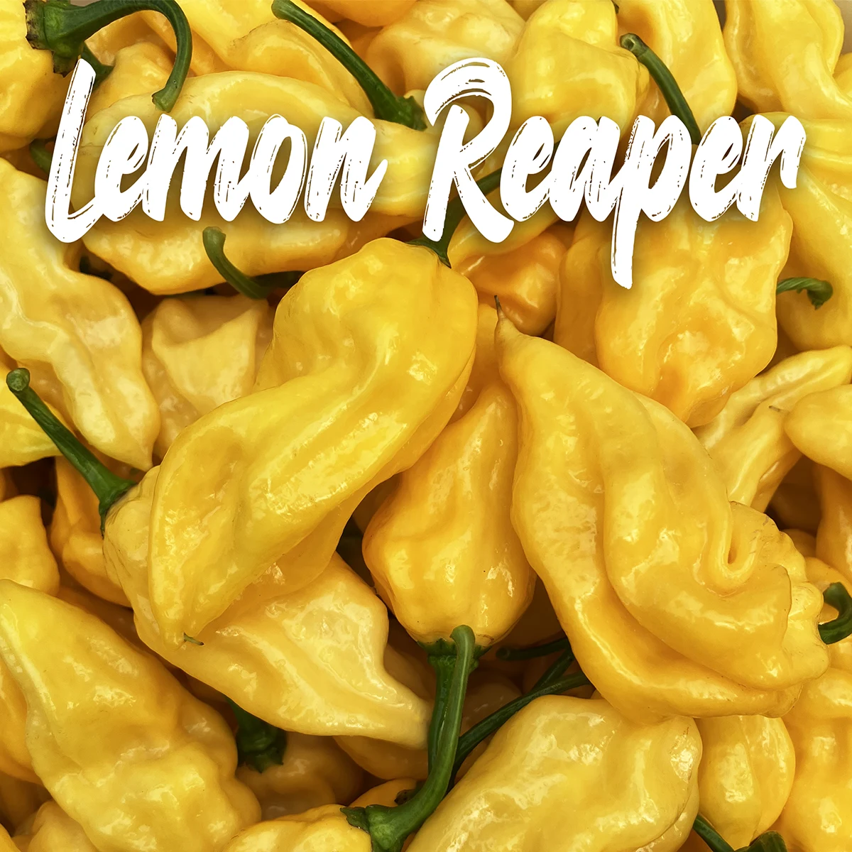 Lemon Reaper