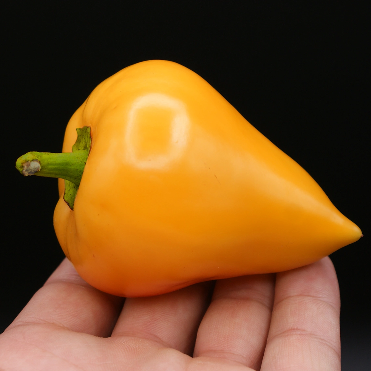Lesya Orange – Image 2
