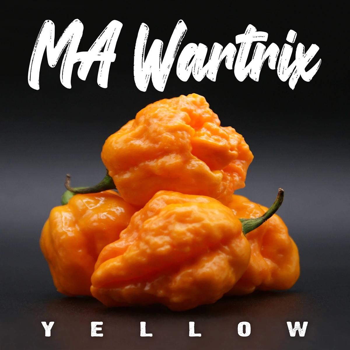 Ma Wartryx Yellow