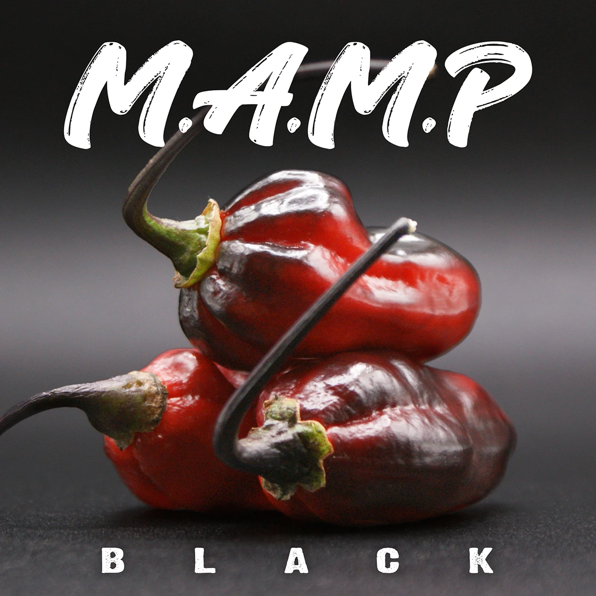 M.a.m.p Black