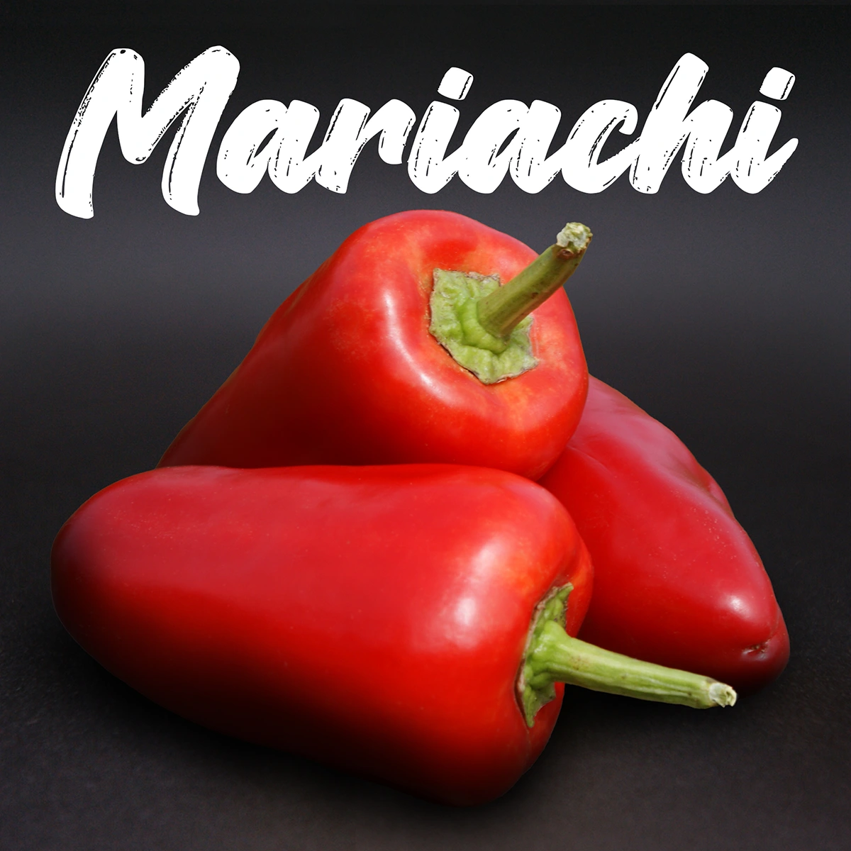 Mariachi