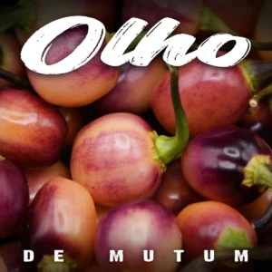 Olho de Mutum