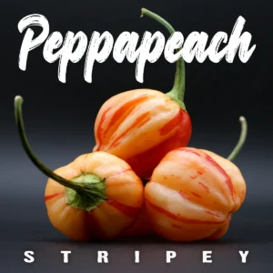 Peppapeach Stripey