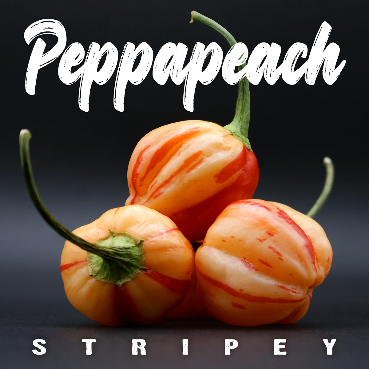 Peppapeach Stripey