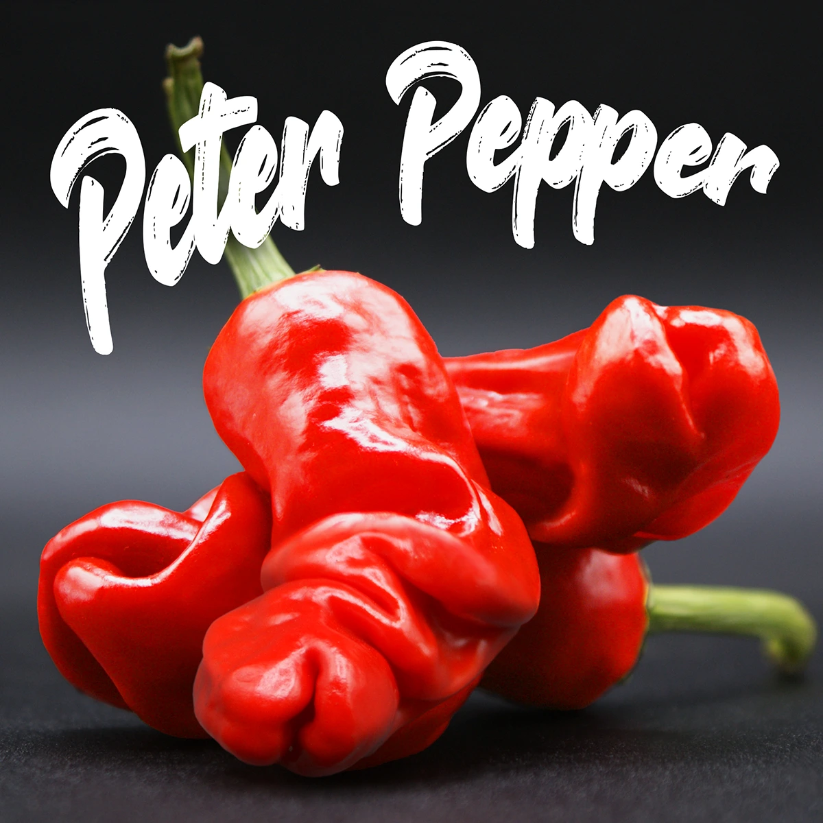 Peter Pepper