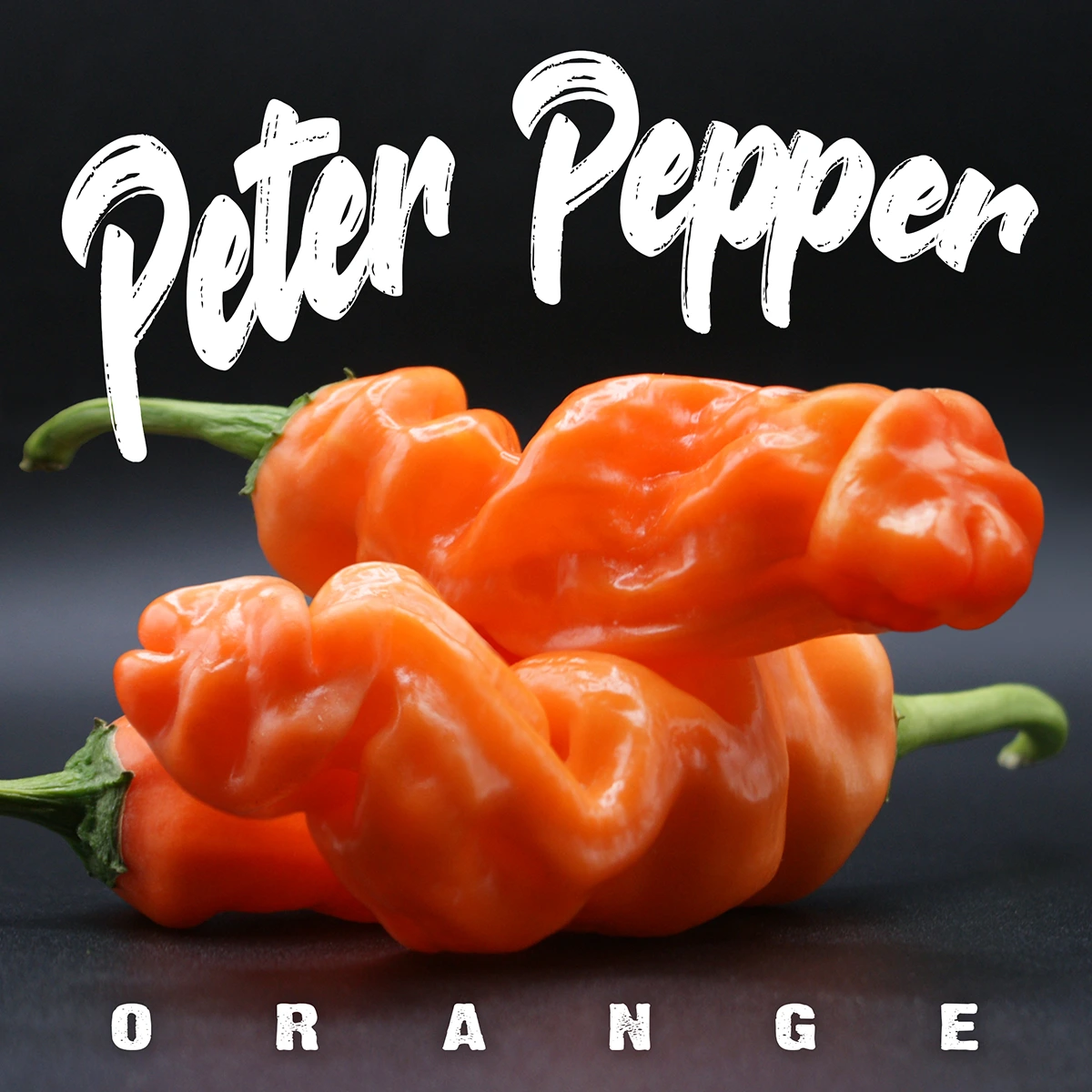 Peter Pepper Orange