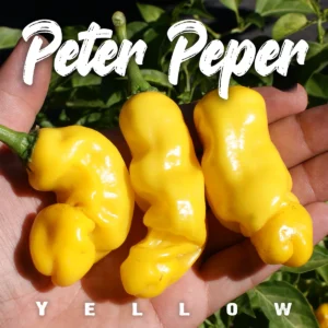 Peter Pepper Yellow