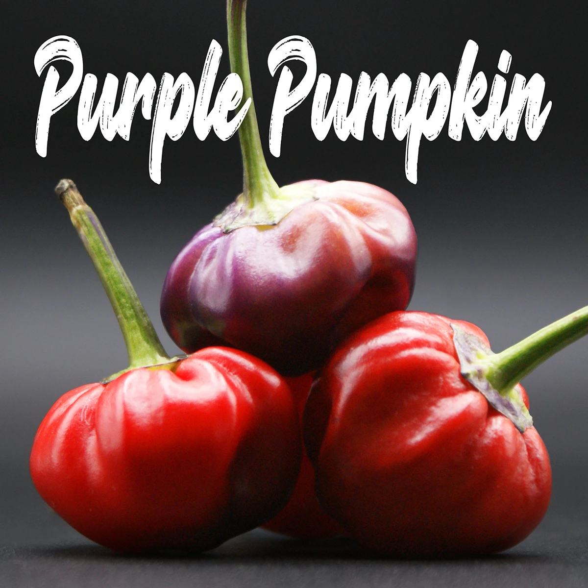 Purple Pumpkin
