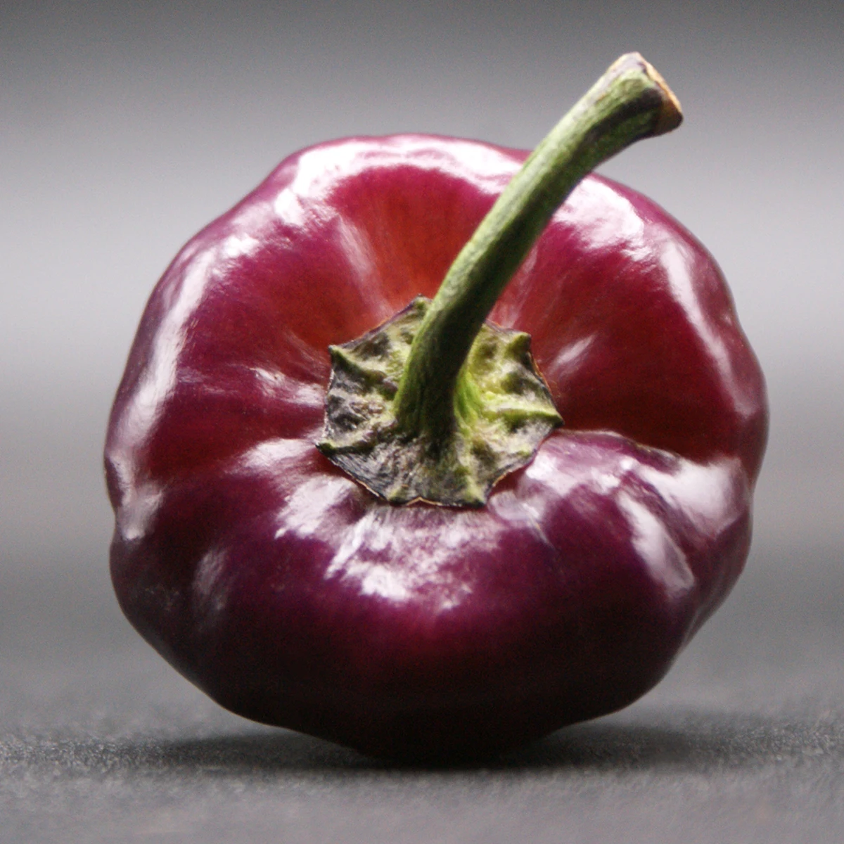 Purple Ufo – Image 5