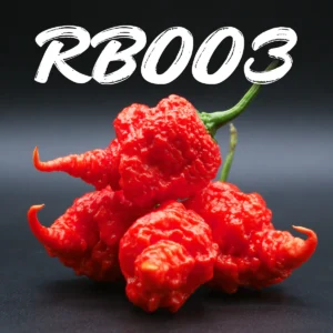 RB003