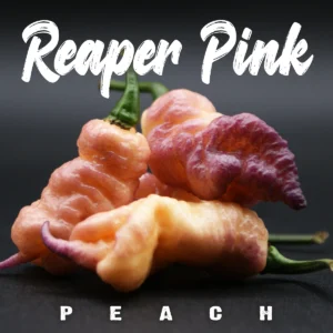 Reaper Pink Peach
