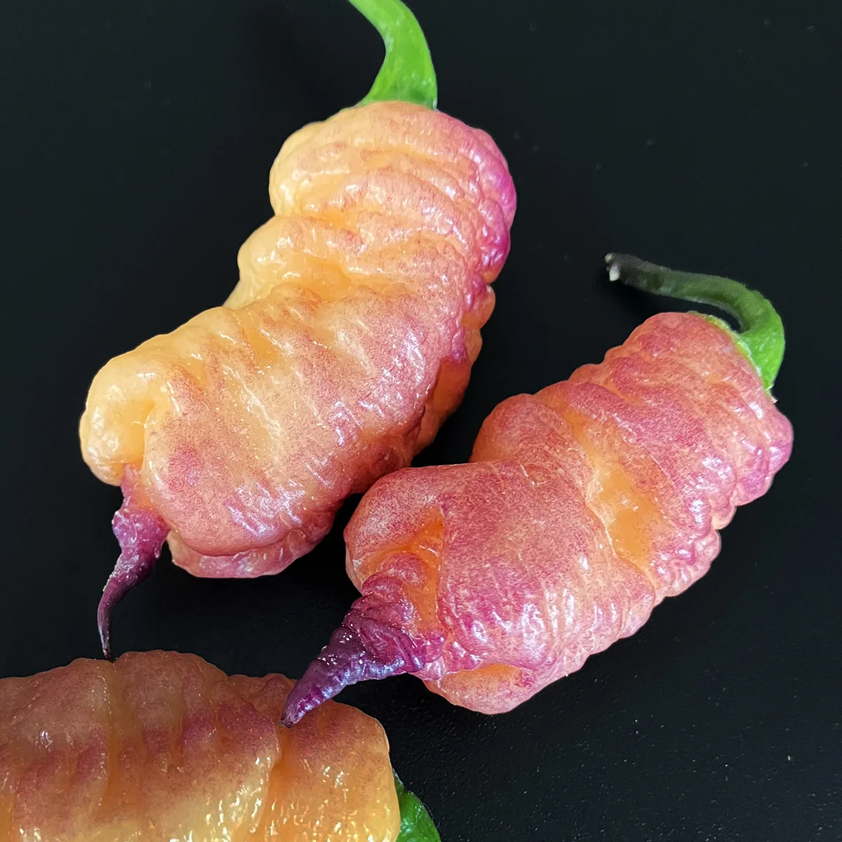 Reaper Pink Peach – Image 6