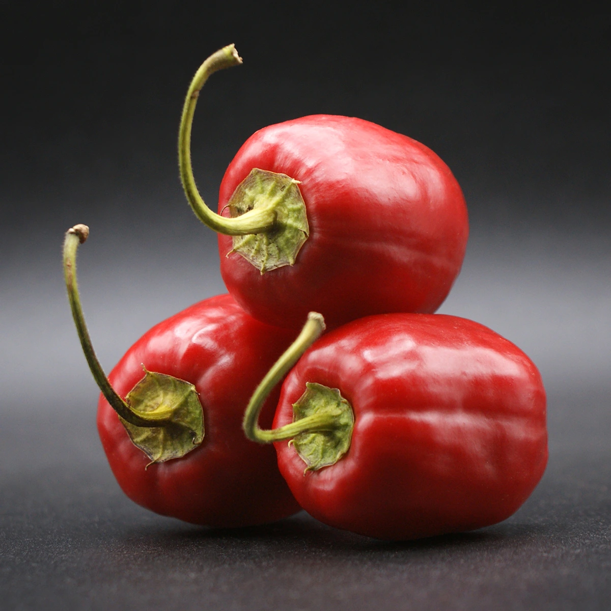 Rocoto Manzano – Image 4