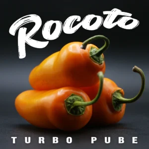Rocoto Turbo Pube