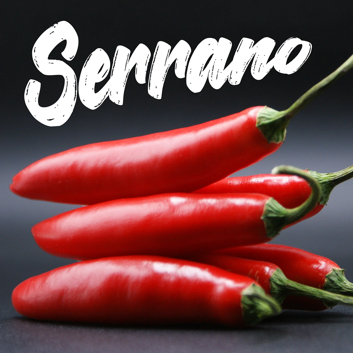 Serrano