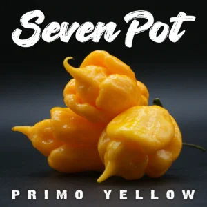 7 Pot Primo Yellow