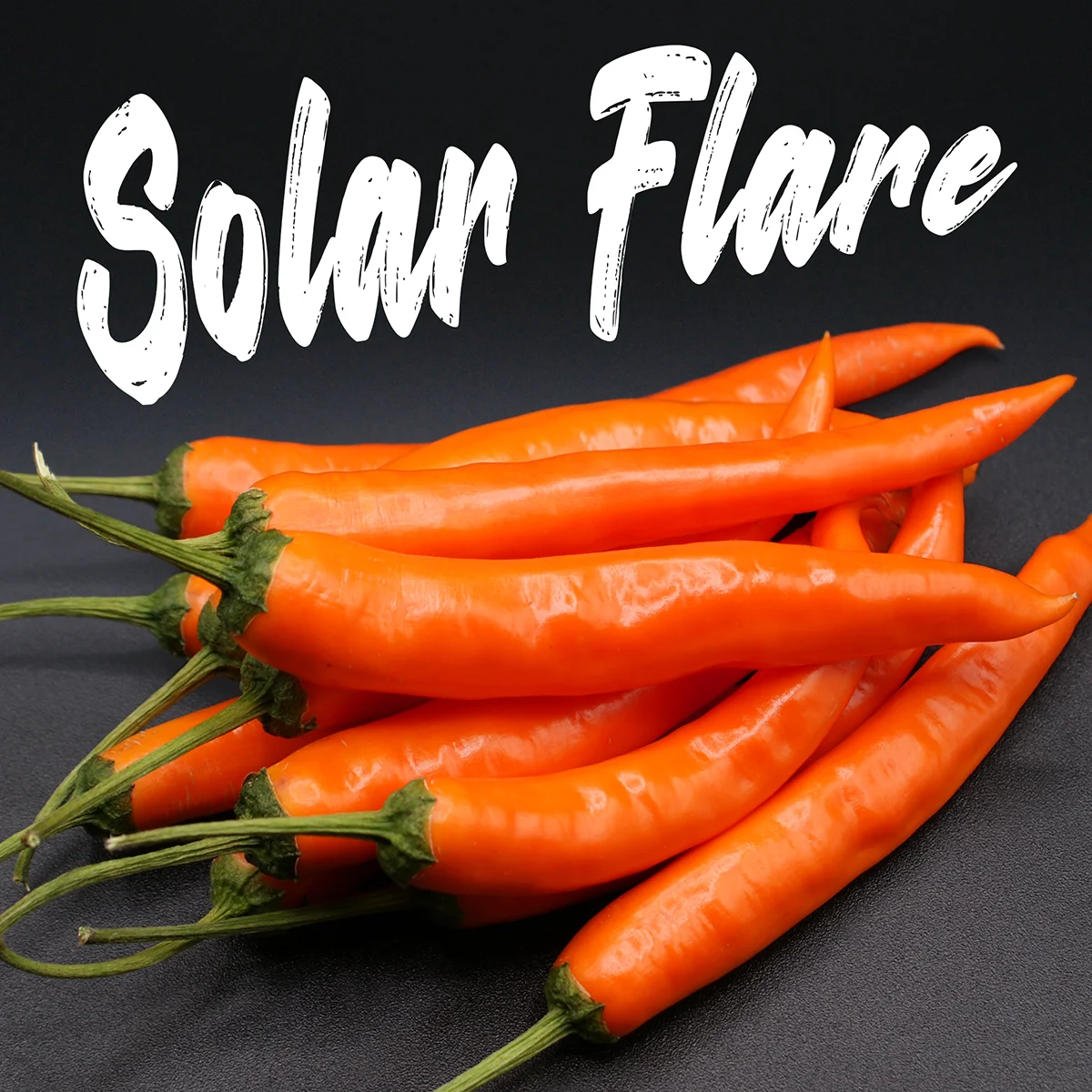 Solar Flare