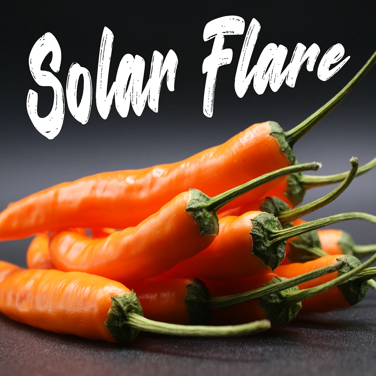Solar Flare – Image 4
